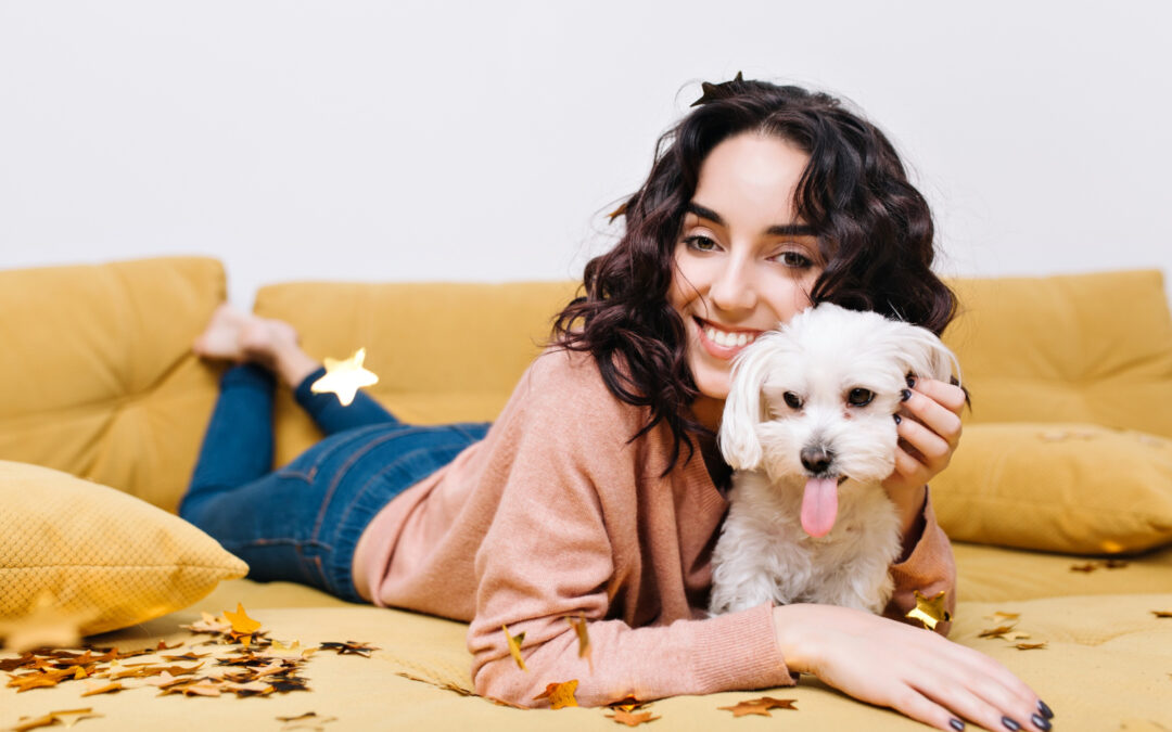 Le séjour en Pension Canine ou Féline : Conseils et astuces pour assurer le bien-être de votre chat ou chien en votre absence.