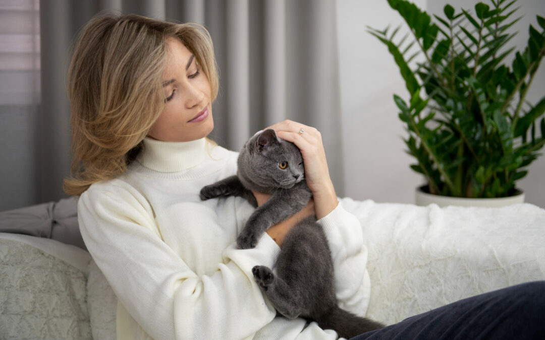 Pet Sitters, Pet Hotels et Pet Trainers : Comment trouver le professionnel parfait pour votre animal de compagnie ?